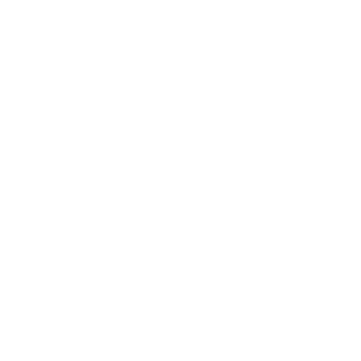 multi-camera-icon