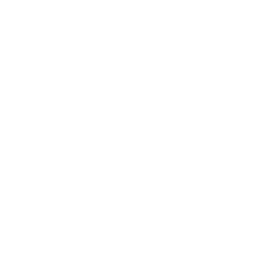 multi-camera-icon