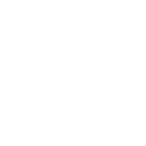 multi-camera-icon